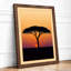 Acacia at Dusk Coastal - Framed Print-1448321444-1448321445