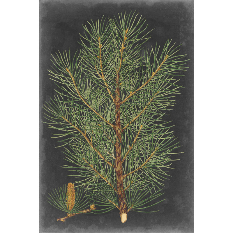 «Dramatic Pine II», peinture sur toile, H 18 po x l 12 po, Oui, Imprimé avec cadre noir