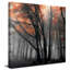 «Autumn Woods II» par Photoinc Studio - photographie-213026219-213026208