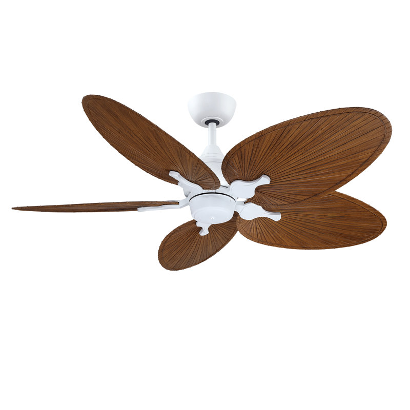 Islander DC 22 inch Indoor/Outdoor Ceiling Fan Narrow Oval Palm-Inspired Blade Set of 5 - Koa, Koa