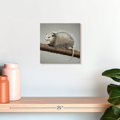 Brampt Snarky Opossum