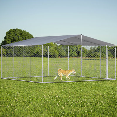 Niche pour chien d'extérieur avec auvent imperméable 181 po * 181 po * 71,65 po