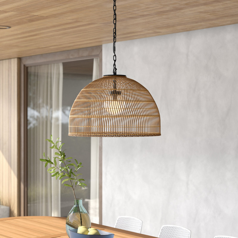 Aundra 1 -Bulb Outdoor Pendant, 15" H x 23" W x 23" D, Matte Black/Brown