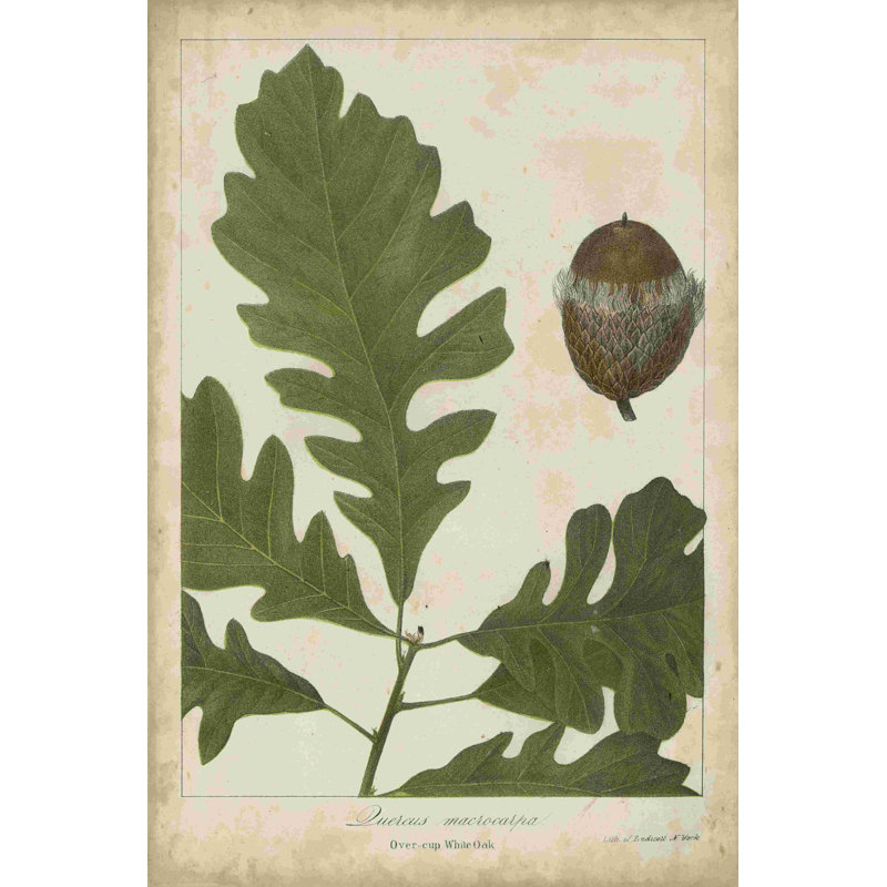 Feuilles de chêne et glands III, H 18 po x l 12 po x P 1,25 po