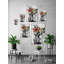 «Comfy», reproduction sur toile tendue-1948642097