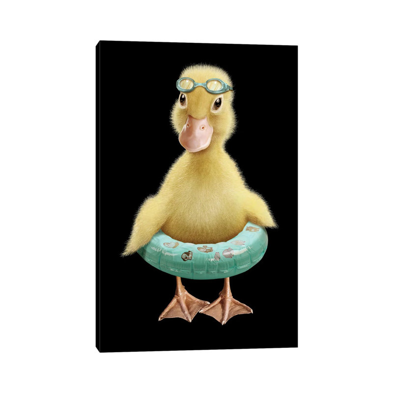 Duck by Adam Lawless - Wrapped Canvas Gallery-Wrapped Canvas Giclée, 20.32 cm H x 30.48 cm W