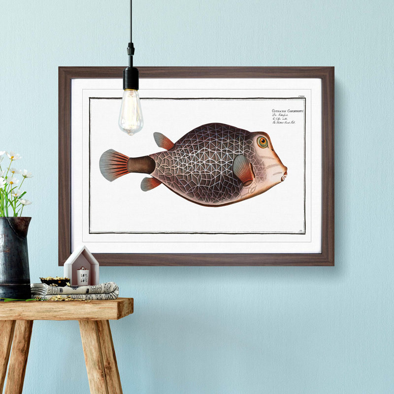 Knitted Trunk-Fish by M.E. Bloch - Picture Frame Graphic Art Print, 27cm H x 36cm W x 2cm D, Walnut Framed