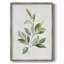 «Fresh Leaf Montage II», reproduction encadrée - bois massif 49518-861985079