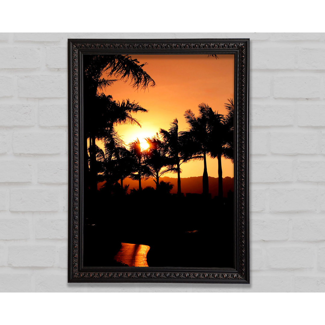 Orange Palm Tree Sun Glow - Einzelner Bilderrahmen Kunstdrucke