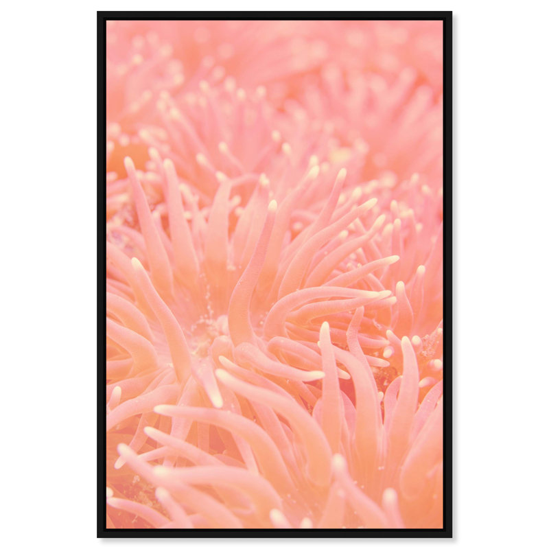 Deep Sea Flowers Print by Oliver Gal, 16"H x 11"W, Black Floater Frame