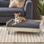 Lit pour chien en bois de style Mid-Century moderne avec surface aquatique, lit pour animal noir et gris, coussin pour un sommeil paisible et