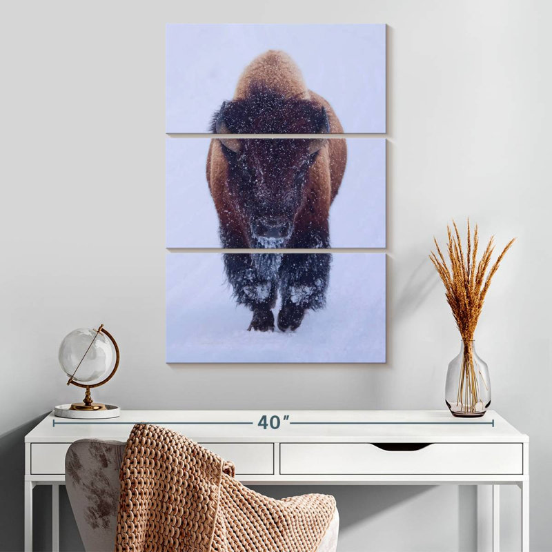Bison Brampt dans la neige, H 20 po x l 32 po