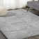 Collesse Solid Shag Light Gray Rug