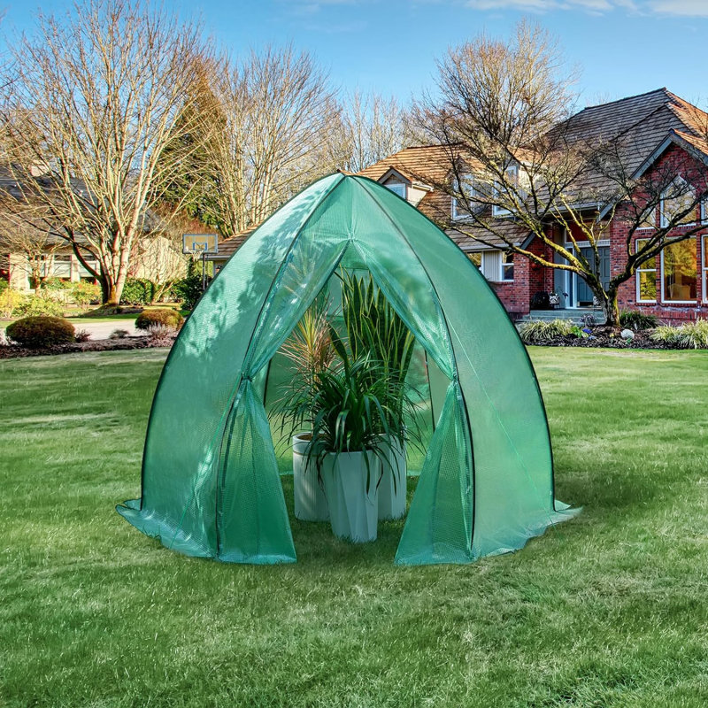 Ballarie 8 Ft W x 6.5 Ft D Mini Greenhouse