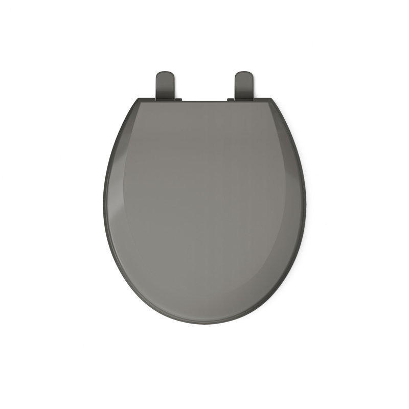Lustra with Quick-Release Hinges Toilet Seat, Thunder Gray, Round