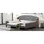 Lit de jour à boutons capitonné Modern Luxury, lit double, gris-321219493-321219514