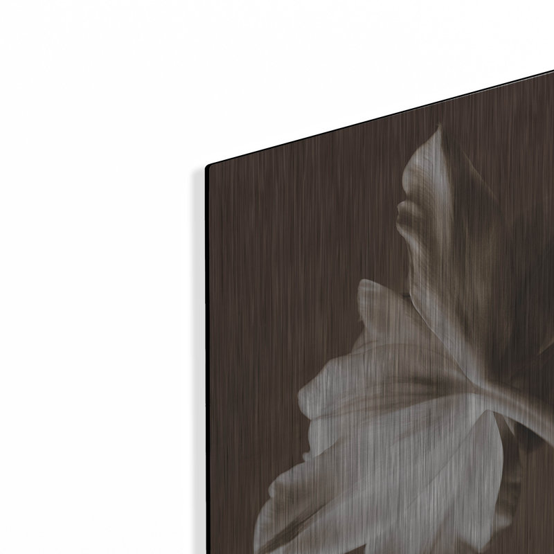 «Moonglow Tulip» par Rebecca Swanson, H 16 po x l 12 po
