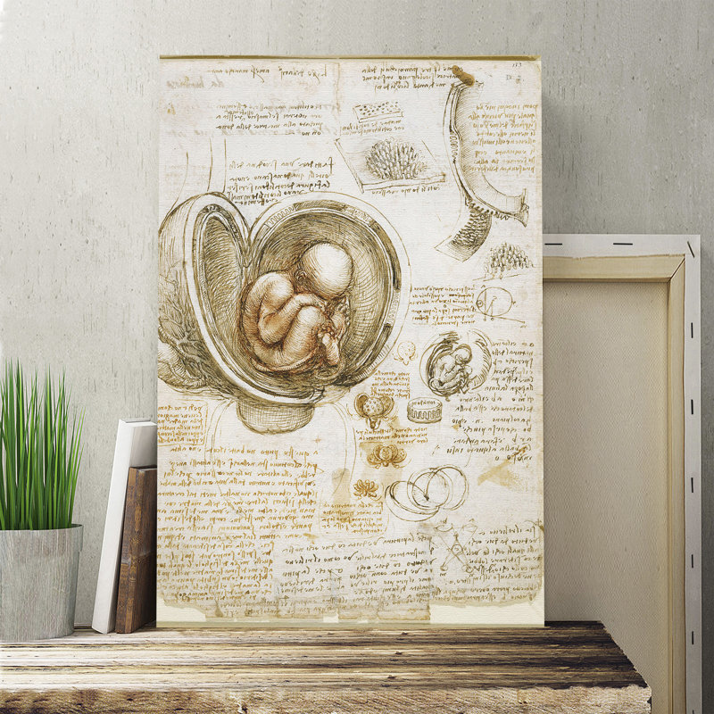 Leonardo Da Vinci - Wrapped Canvas Painting, 60cm H x 40cm W