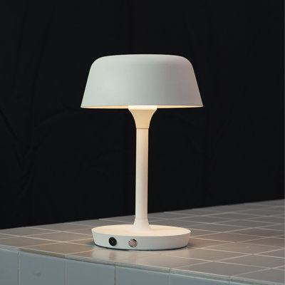 Metal Novelty Lamp