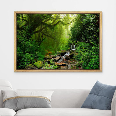 Népal, forêt verte, cascade