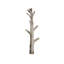 Lily's Living Mangosteen Decorative Half Tree Wall Coat Rack, 77 Inch Tall, Natural Wood Finish