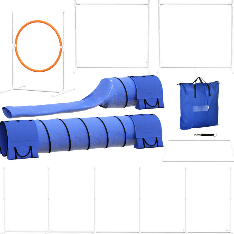 Trousse de dressage d'agilité Blue Dog