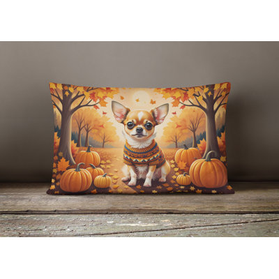 Other/No Pattern Outdoor Throw Pillow