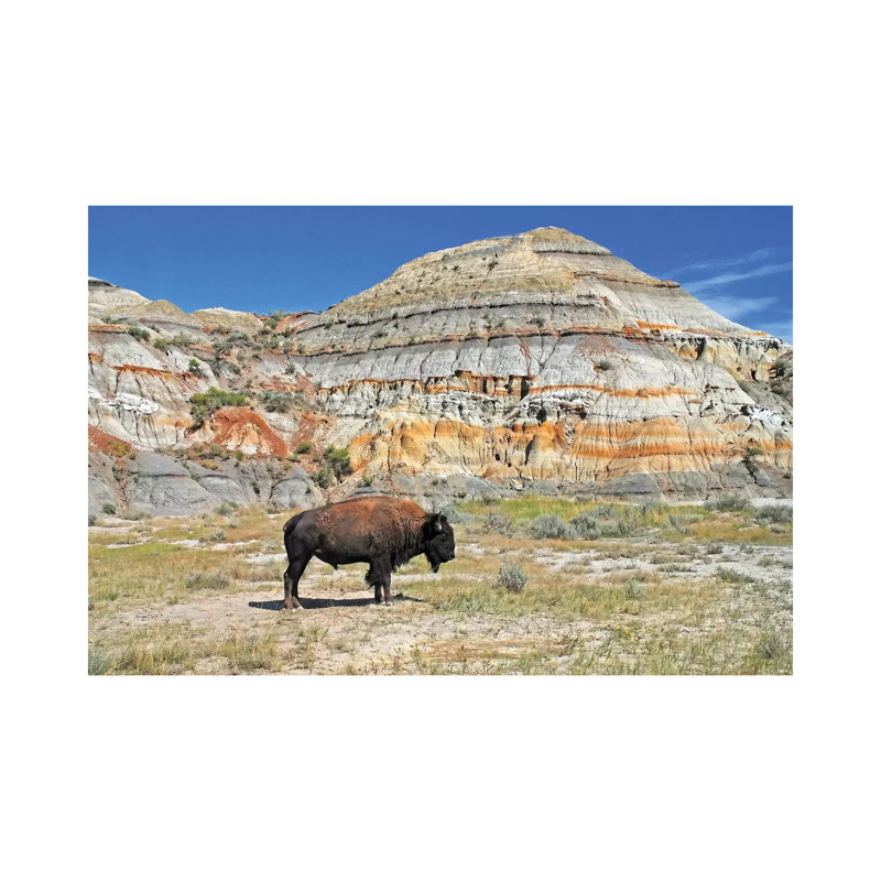Badlands Bison by Brian Wolf - Wrapped Canvas Print, 20.32cm H x 30.48cm W x 1.91cm D