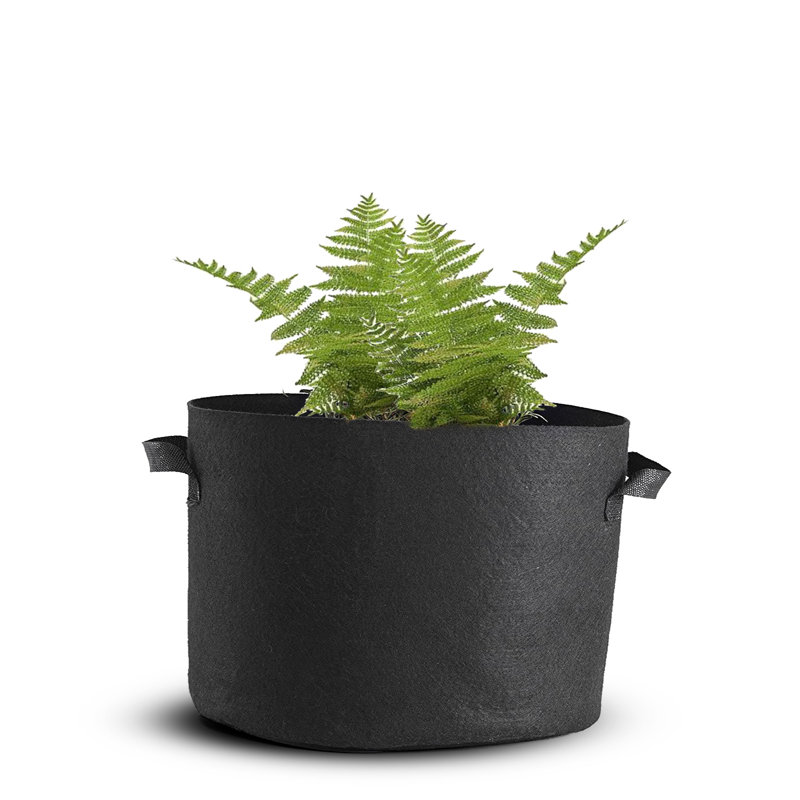 Ensemble de culture VEVOR, H 18,1 po x l 31,9 po x P 31,9 po