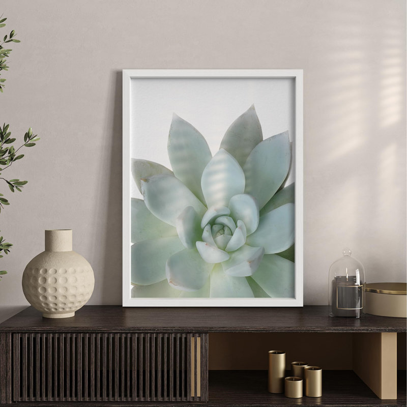 «Pastel Green Succulent Détail Botanical Illustration Small Decor Art Work», Blanc, H 16 po x l 12 po