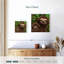 «Brampt Sloth All Smiles»-109233008