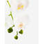 Victoria Ceramic Realtouch Orchid