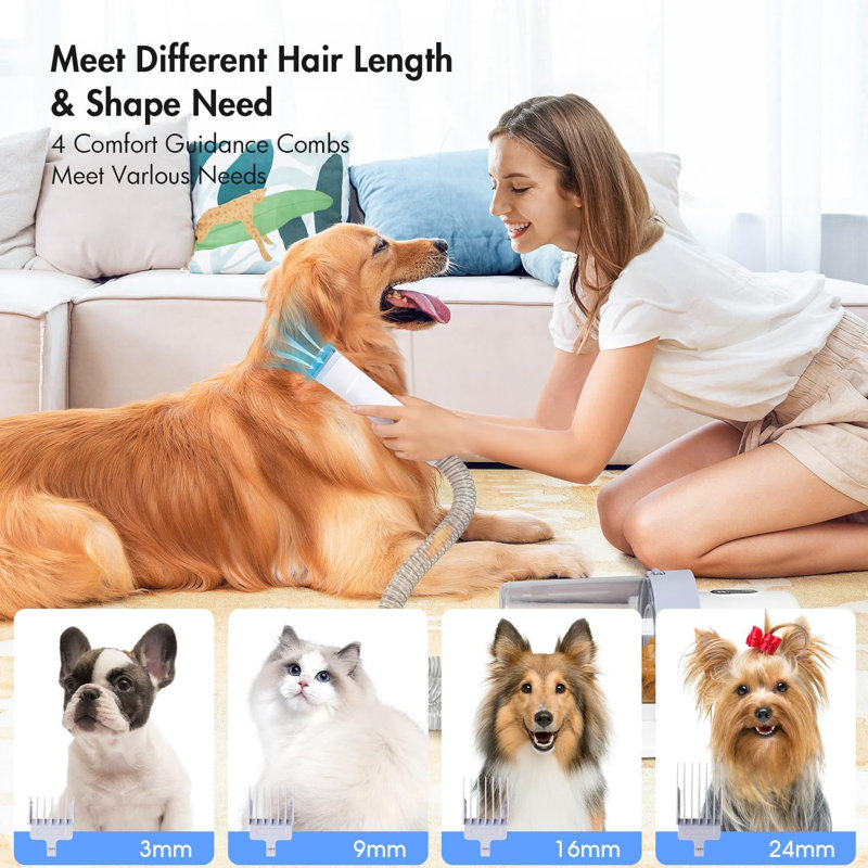 Trousses de lavage pour chien