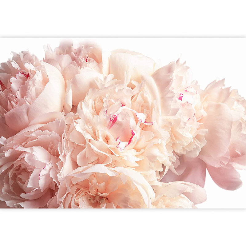 Bouquet de fleurs roses et œillets, L 100 po x l 144 po
