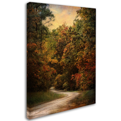 'Autumn Forest 1' Photographic Print on Wrapped Canvas