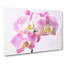 Pink Orchid Flower - Wrapped Canvas-56634832