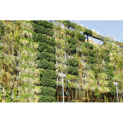 Lakissa Green Wall - Photographie sur toile tendue