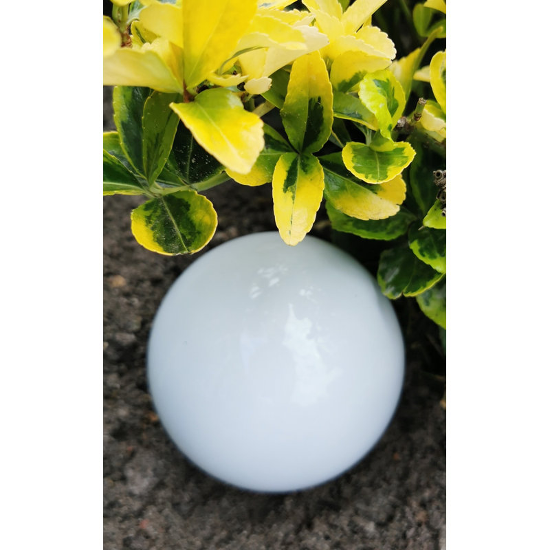 Chaley Stainless Steel Gazing Ball, 20cm H x 20cm W x 20cm D, White