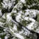 Dazzle Vintage Bohemian Floral Green Rug