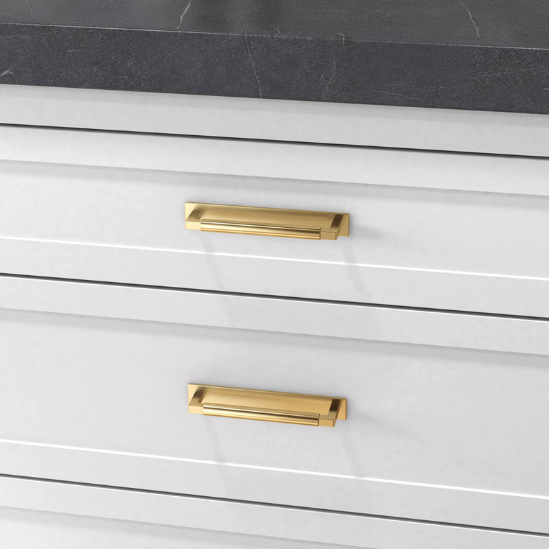 Contemporary Polished Brass Back Plate for Cabinets