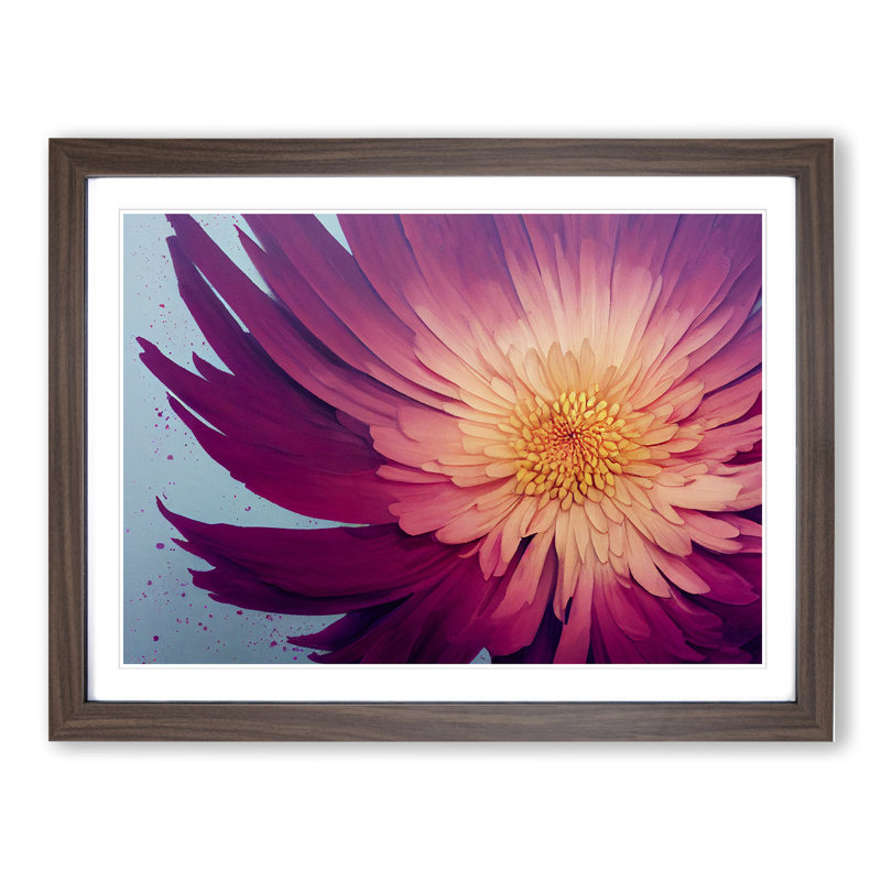 Splendorous Chrysanthemum Flower - Framed Print, 25cm H x 34cm W x 2cm D, Walnut