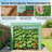 Stable Greenhouse,Mini Greenhouse-124615628