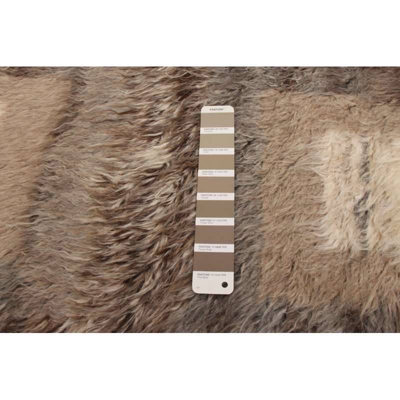 Tapis unique en laine noué à la main style indo marocain brun / taupe 4 pi 11 po x 8 pi 2 po Grogan