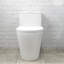 Toilette allongée une pièce à hauteur double 17 po à hauteur confortable pour surface vitrée fixée au sol (siège inclus)