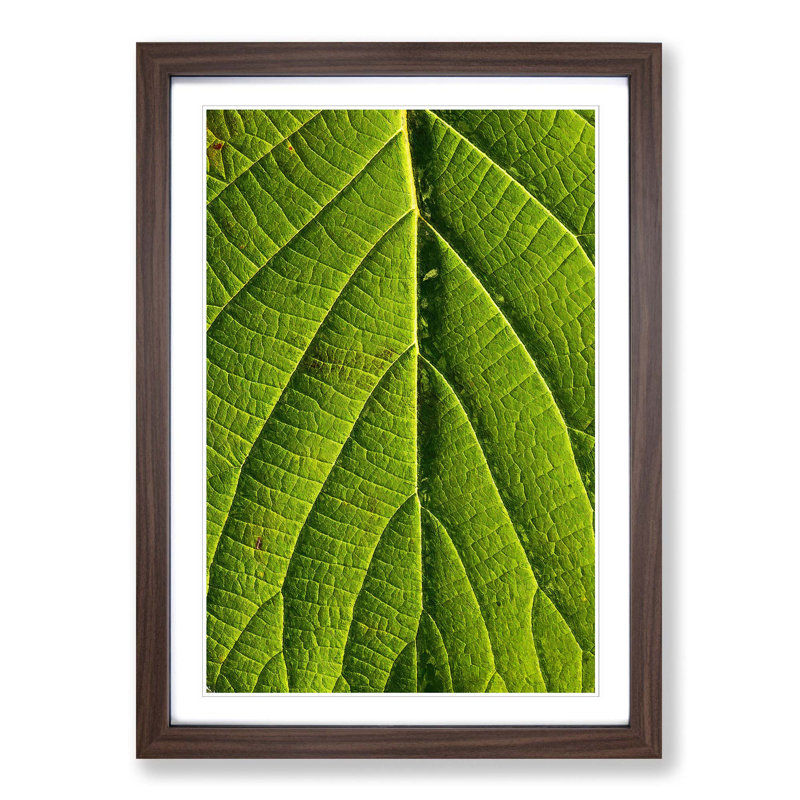 Leaf Pathways - Picture Frame Painting Print, 36cm H x 27cm W x 2cm D, Walnut Framed