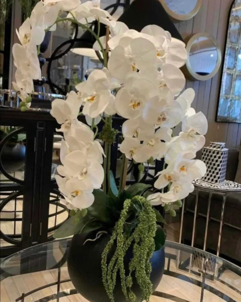 The Seasonal Aisle Silk Orchid Arrangement | Wayfair.co.uk