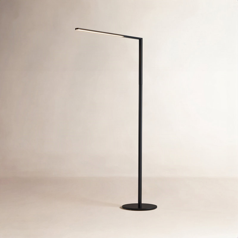 Lady7 52.05'' LED Task Floor Lamp with USB, Metallic Black