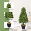 Artificial cone topiary-1940508203