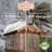 Backyard Discovery Bellerose 9' x 6' Cedar Wood and Polycarbonate Walk-In Outdoor Greenhouse Kit with Pergola