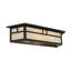 2 - Light Vanity Light